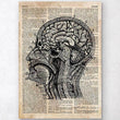 Load image into Gallery viewer, Brain anatomy art on old dictionary page