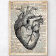 Laden Sie das Bild in den Galerie-Viewer, Heart anatomy poster