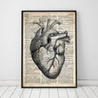 Laden Sie das Bild in den Galerie-Viewer, Heart anatomy art II - Old dictionary page