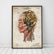 Laden Sie das Bild in den Galerie-Viewer, Steampunk brain implant blueprint