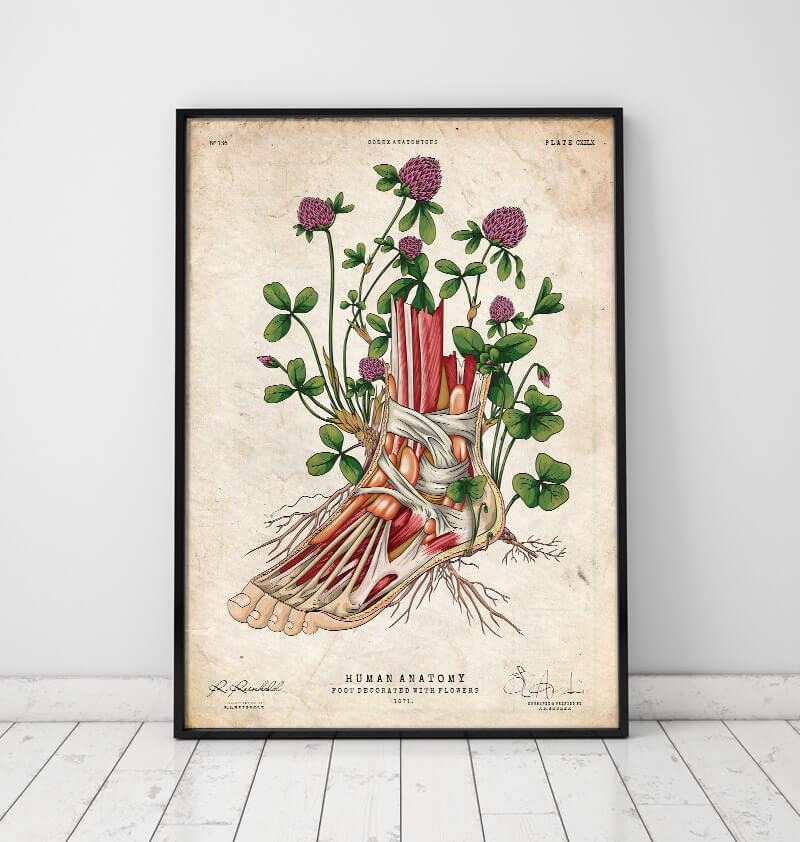 Foot anatomy art - Floral - Vintage – Codex Anatomicus