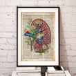 Load image into Gallery viewer, Kidney anatomy art poster in a frame, a medical gift by Codex Anatomicus