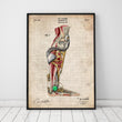 Charger l'image dans la galerie, Mechanical leg blueprint anatomy art by Codex Anatomicus