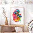 Laden Sie das Bild in den Galerie-Viewer, Kidney anatomy poster