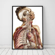 Load image into Gallery viewer, Human anatomy dictionary art print