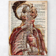 Charger l'image dans la galerie, Anatomy art print