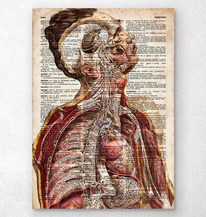 Human Anatomy Dictionary Art Print – Codex Anatomicus