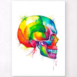 Load image into Gallery viewer, Skull anatomy poster