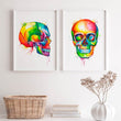 Load image into Gallery viewer, Skull anatomy poster