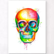 Load image into Gallery viewer, Anatomical skull poster