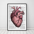 Laden Sie das Bild in den Galerie-Viewer, Heart anatomy dictionary art print in a black frame
