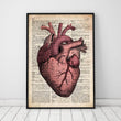 Laden Sie das Bild in den Galerie-Viewer, Heart anatomy dictionary anatomy art