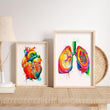 Load image into Gallery viewer, Anatomical lungs