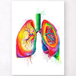 Load image into Gallery viewer, Lungs anatomy