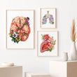 Load image into Gallery viewer, Anatomical brain poster