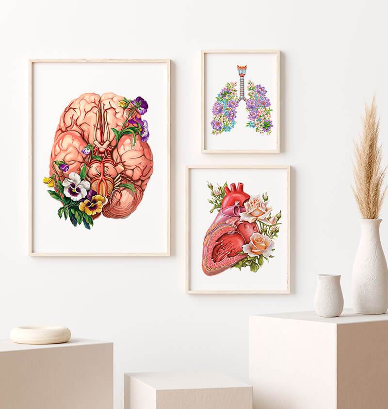 Floral brain anatomy art print - Codex Anatomicus