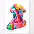 Laden Sie das Bild in den Galerie-Viewer, Neck muscles anatomy