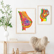Load image into Gallery viewer, Anatomical breast poster