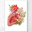 Load image into Gallery viewer, Anatomy of a heart