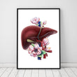 Load image into Gallery viewer, Floral liver anatomy in a frame by codex anatomicus