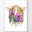 Load image into Gallery viewer, Thorax anatomy