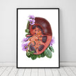 Laden Sie das Bild in den Galerie-Viewer, Floral watercolor kidney anatomy art print