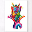Load image into Gallery viewer, Larynx anatomy - Thyroid anatomy
