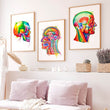 Load image into Gallery viewer, Anatomy posters