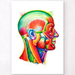 Load image into Gallery viewer, Head anatomy art