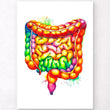 Charger l'image dans la galerie, Intestines anatomy