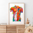 Load image into Gallery viewer, Torso anatomy poster in a frame by Codex Anatomicus