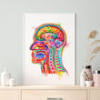 Laden Sie das Bild in den Galerie-Viewer, brain anatomy poster in watercolor by codex anatomicus in a black frame