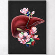 Load image into Gallery viewer, Liver anatomy