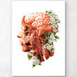 Charger l'image dans la galerie, Brain anatomy