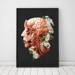 Laden Sie das Bild in den Galerie-Viewer, Head, Brain and Arteries anatomy art print in a frame