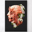Laden Sie das Bild in den Galerie-Viewer, Human head anatomy