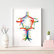 Laden Sie das Bild in den Galerie-Viewer, Watercolor Circle of Willis anatomy art print
