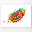 Load image into Gallery viewer, Bacteria structure art