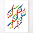 Laden Sie das Bild in den Galerie-Viewer, DNA poster
