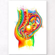 Load image into Gallery viewer, Fetus in a womb anatomy