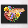 Laden Sie das Bild in den Galerie-Viewer, Anatomy of pancreas