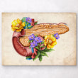 Laden Sie das Bild in den Galerie-Viewer, Pancreas anatomy illustration