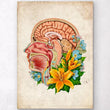 Charger l'image dans la galerie, Head section anatomy