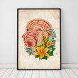 Charger l'image dans la galerie, Head section anatomy