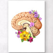 Laden Sie das Bild in den Galerie-Viewer, Brain section anatomy
