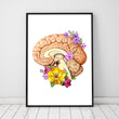 Laden Sie das Bild in den Galerie-Viewer, Brain anatomy chart