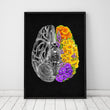 Laden Sie das Bild in den Galerie-Viewer, Anatomical brain poster