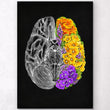 Laden Sie das Bild in den Galerie-Viewer, Anatomy of the brain