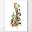 Load image into Gallery viewer, Anatomy of the spine