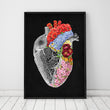Laden Sie das Bild in den Galerie-Viewer, Anatomical heart poster